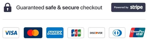 Secure checkout badge showing payment methods including Visa, Mastercard, American Express, JCB, Discover, Diners Club, and UnionPay, powered by Stripe